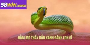 Nằm Mơ Thấy Rắn Xanh Đánh Con Gì Hiệu Quả Tại 58Win