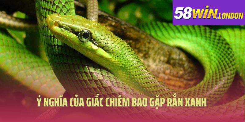 Ý nghĩa của giấc chiêm bao gặp rắn xanh