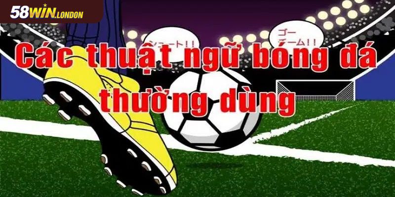 Nắm vững các thuật ngữ cơ bản 