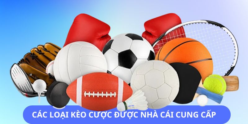 Nhiều loại kèo cược được nhà cái cung cấp